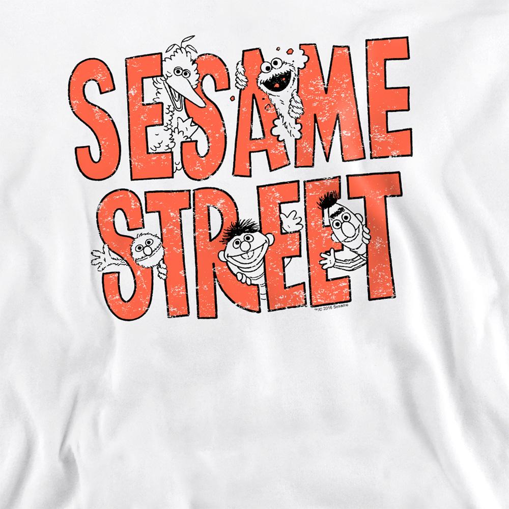 Sesame Street Unisex Adult Letters Sweatshirt