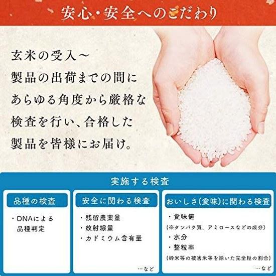 Iris Ohyama Low-Temperature Process Rice Cut Mochi Individually Wrapped Domestic 1 kg