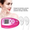 Electric Facial Massager Stimulation Muscle Massage Kit Face Slimming Massage Beauty Device