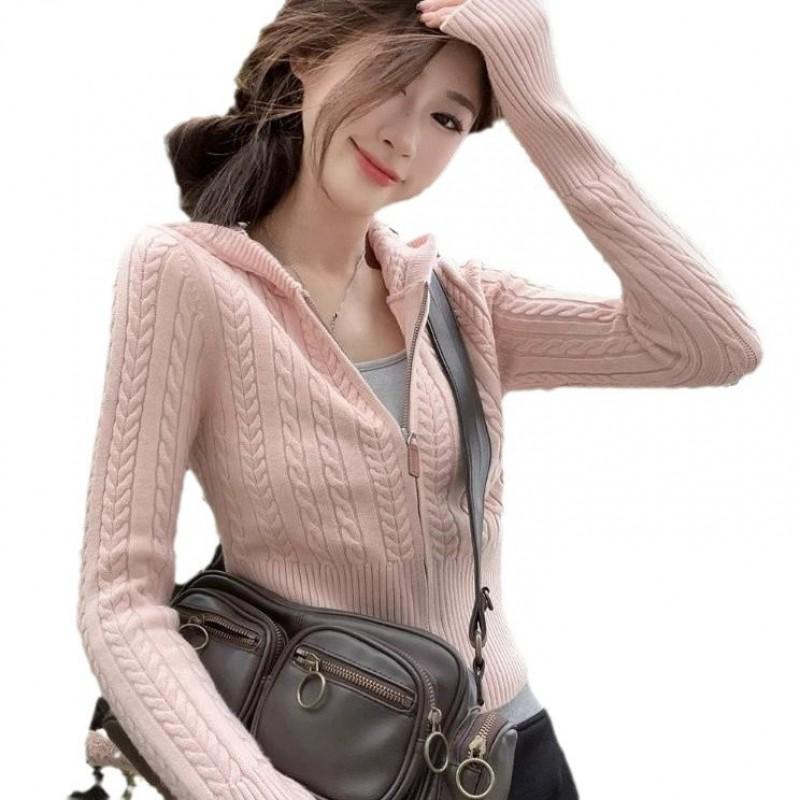 Womens Soft Cable Knit Hooded Zip-Up Cardigan Short Cropped Sweater Korean Style Casual Winter
