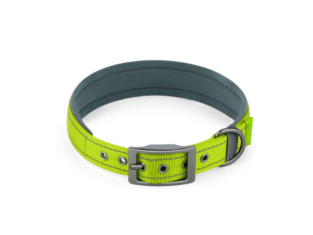Customizable Neoprene Dog Collar: Comfortable, Non-Squeezing, Reflective Collar for Dogs of All Sizes