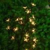 Solar Cherry Blossom Tree Light Outdoor Waterproof Garden Stake Lamp for Lawn Patio Aisle Ambient Landscape Decoration