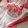 Ultra-Thin Sexy Transparent Embroidered Backless Underwire Bra and Lingerie Set for Women