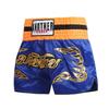 Muay Thai UFC Sanda Summer Training Boxing Shorts - MMA Fight Gear