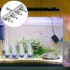 2/4/6/8/10/12Ways Stainless Steel Air Flow Splitter Distributor Pump Valves for Aquarium Air Splitter Valve Fish Tank Air Pump