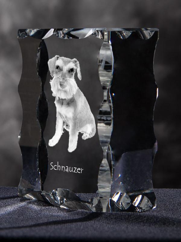 Schnauzer – Crystal with a picture of a dog, glass statuette with a picture | Art-Dog