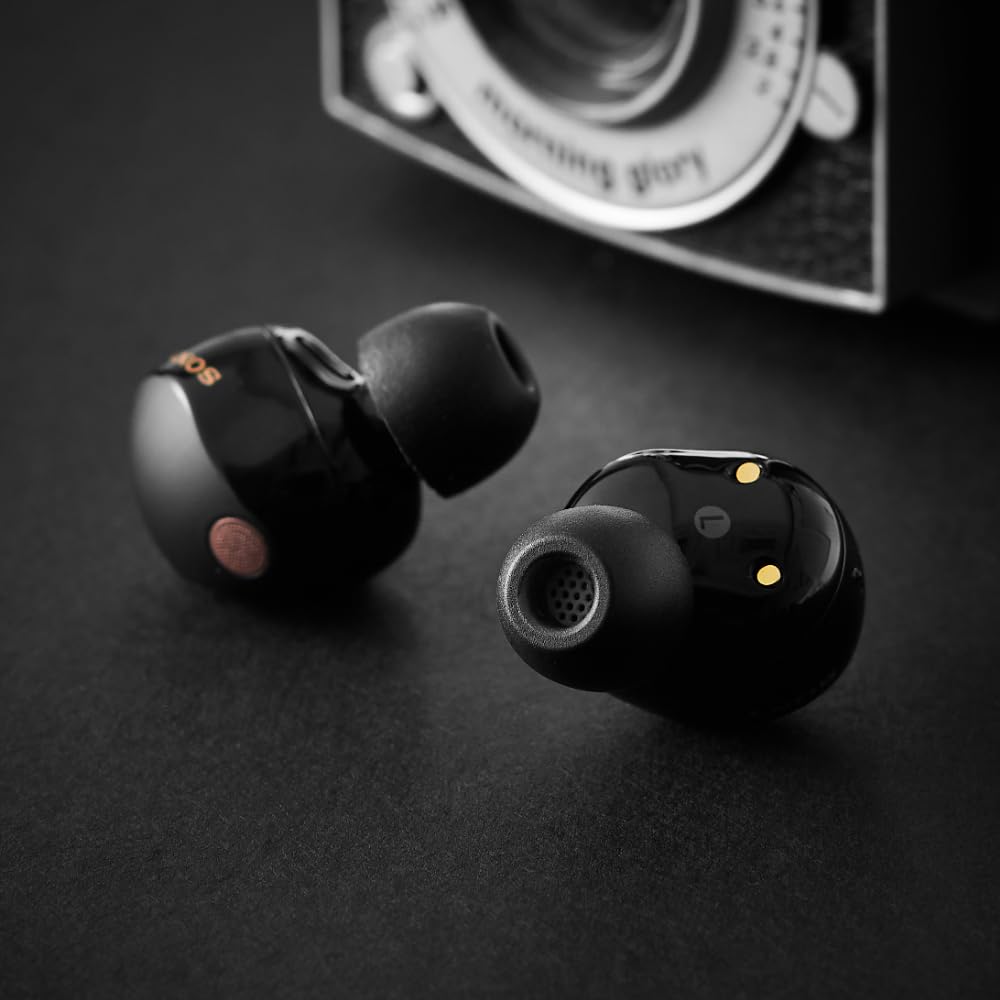 AZLA SednaEarfit Foamax Standard Earbuds Large Foam Recover in Approximately 30 Seconds After Made with Foam and Honeycomb Coreless Wax Ideal for