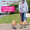 Shoulder lead for two for medium and small for multiple for Shiba made in Teruberu Dog Collar Shop dogs, tangle-free, dogs, dogs, shoulder-mounted,