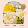 Miss Lilly Keratin Hair Mask