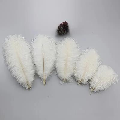 15-40 Cm Large Ostrich Feathers 10pcs Natural Decorative Feathers For Wedding Floral Arrangements Carnival Costume Hat Deco