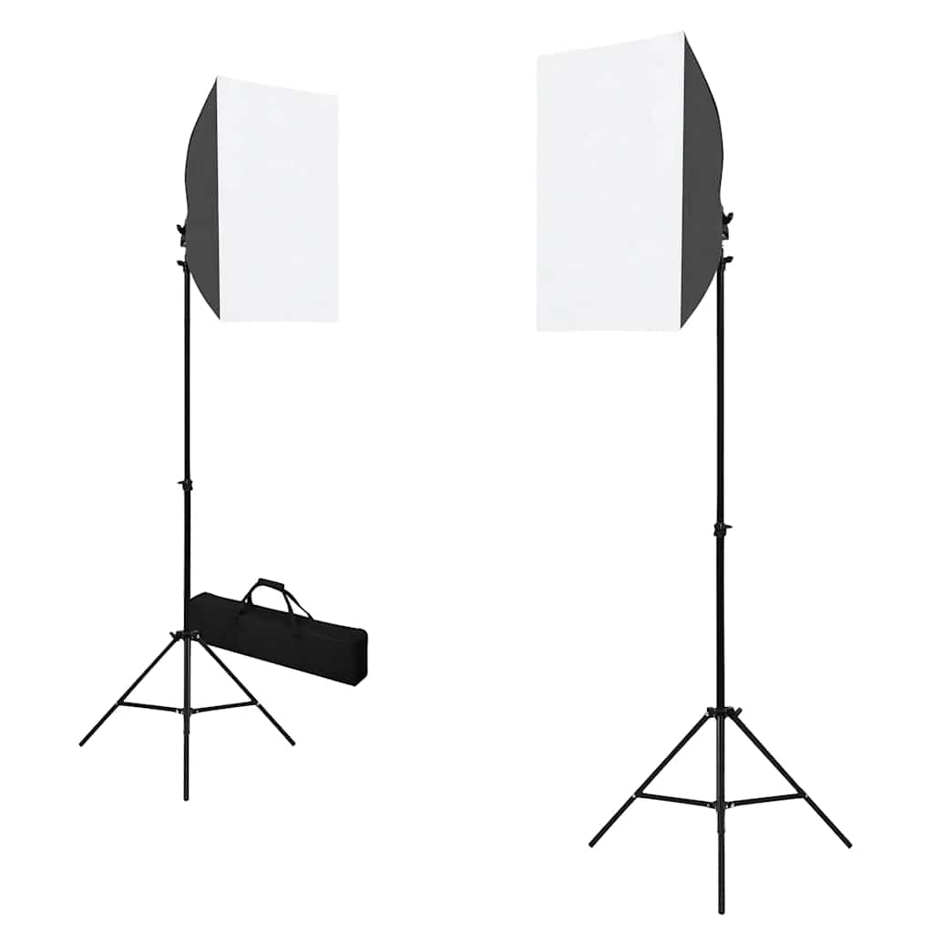 Professional Studio Lights 2 pcs 40x60 cm Steel Black