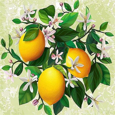 Volles 5D DIY Diamantmalerei Frische Zitrone Landschaft Stickerei Kreuzstich Heimdekor Handgemachtes Geschenk