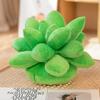 Mini Stuffed Succulents Doll Simulation Succulents Plush Pillow Botany Plush Toy  Birthday Gift