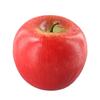 Realistic Foam Apples for Home Shop Party Decor Lifelike Artificial Fruit