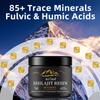 Natural Shilajit Resin 50g Pure Herbal Energy, Detox Wellness Paste for Adults