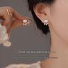 New Elegant Women's Silver Tassel Stud Earrings: Light Luxury, Chinese-Inspired Niche, Ins Retro Style Ear Ornaments