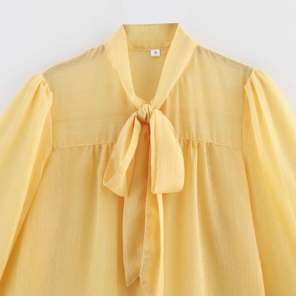 2025 Spring Women's European & American Style Two-Color Lightweight Long-Sleeve Shirt