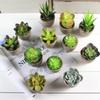 Simulate Potted Plant Cute Microlandschaft Home Office Hotel Decoration