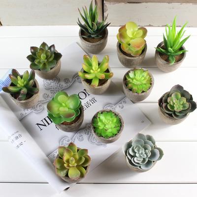 Simulación de Planta en Maceta Linda Micropaisaje Decoración para Hogar, Oficina, Hotel