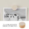 DESIGNPHIL MIDORI Wooden Picture Clips, Gray | Stylish Home Decor Clip