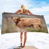 Handtücher Schottische Hochlandkuh Übergröße Sandfreies Strandtuch Schnelltrocknendes Strandtuch Herren Mikrofaser Leichtes Reise-Strandtuch