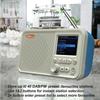 C10 DAB/DAB+ FM Digital Radio LED Speaker Portable Handsfree MP3 Music Player