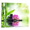 PANEL SZKLANY DO KUCHNI 65x60 Orchidea