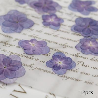 12 Stück Hortensien Trockenblumen Trockenfloristik Echte Gepresste für Schönheitsfotografie