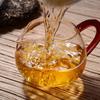 Haiwan Remote Mountain Old Tree Puer Tea Cake 2021 500g Raw Pu-erh Batch 211