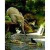 Colour Diamond Full Drill Painting Africa Elephant Cross Stitch Diamond Embroidery Animals 5d Diy Mosaic Decor For Ho