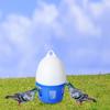 Pigeon Drinker Bird Water Bucket Cage Accessories Dispenser for Peacock
