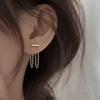 Stainless Steel Tassel Earrings Ear Studs Women'S Design Sense Ear Chain Earrings