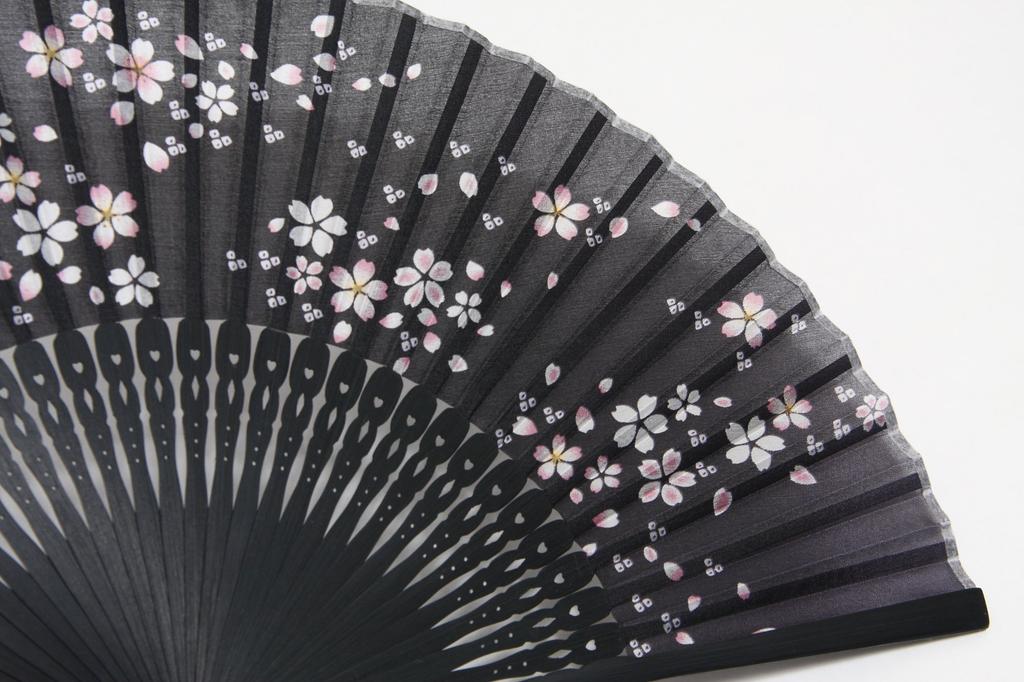 Hasegawa Silk Fan with Fan Pouch and Box Blossom Women's (Cherry Black)