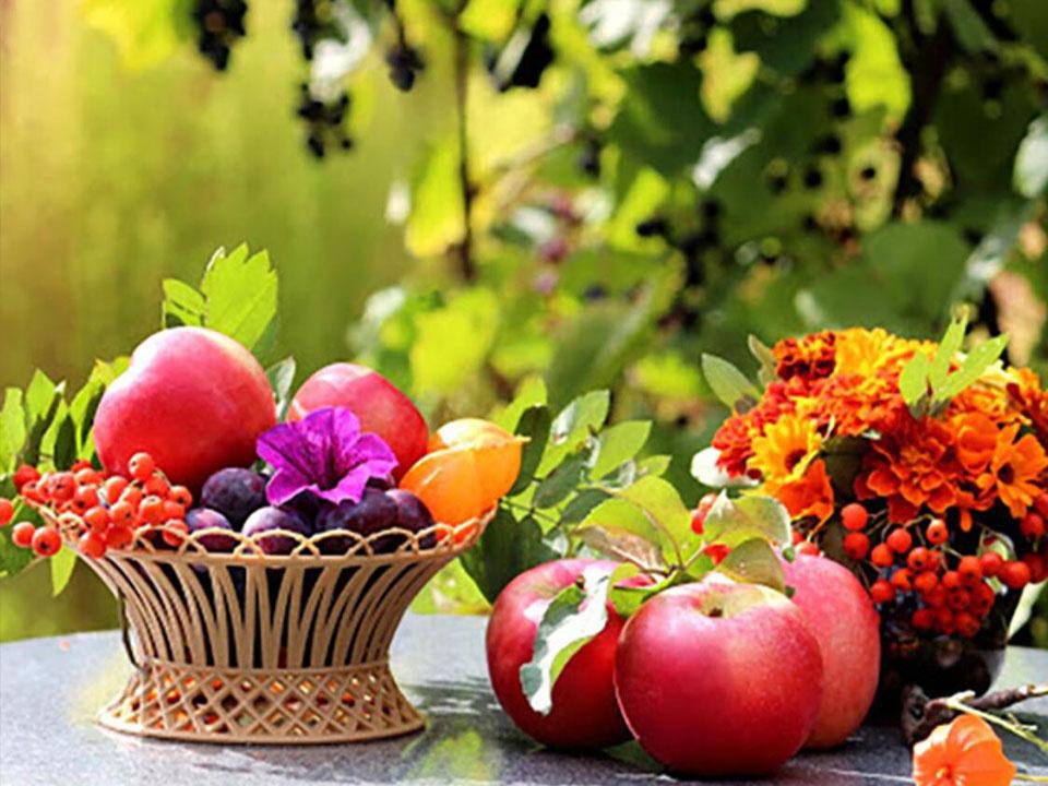 5D Diamond Mosaic Fruit Cross Stitch Kits DIY Diamond Painting Landscape Picture Of Rhinestones Mosaic Decor For Home