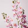 12 Heads Artificial Phalaenopsis Flower Moth Orchid Flower Arrangement Simulation Butterfly Orchid Single Branch DIY