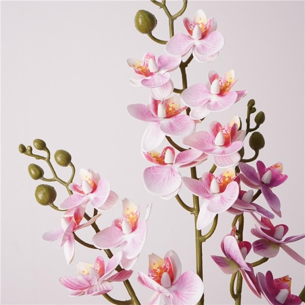12 Heads Artificial Phalaenopsis Flower Moth Orchid Flower Arrangement Simulation Butterfly Orchid Single Branch DIY