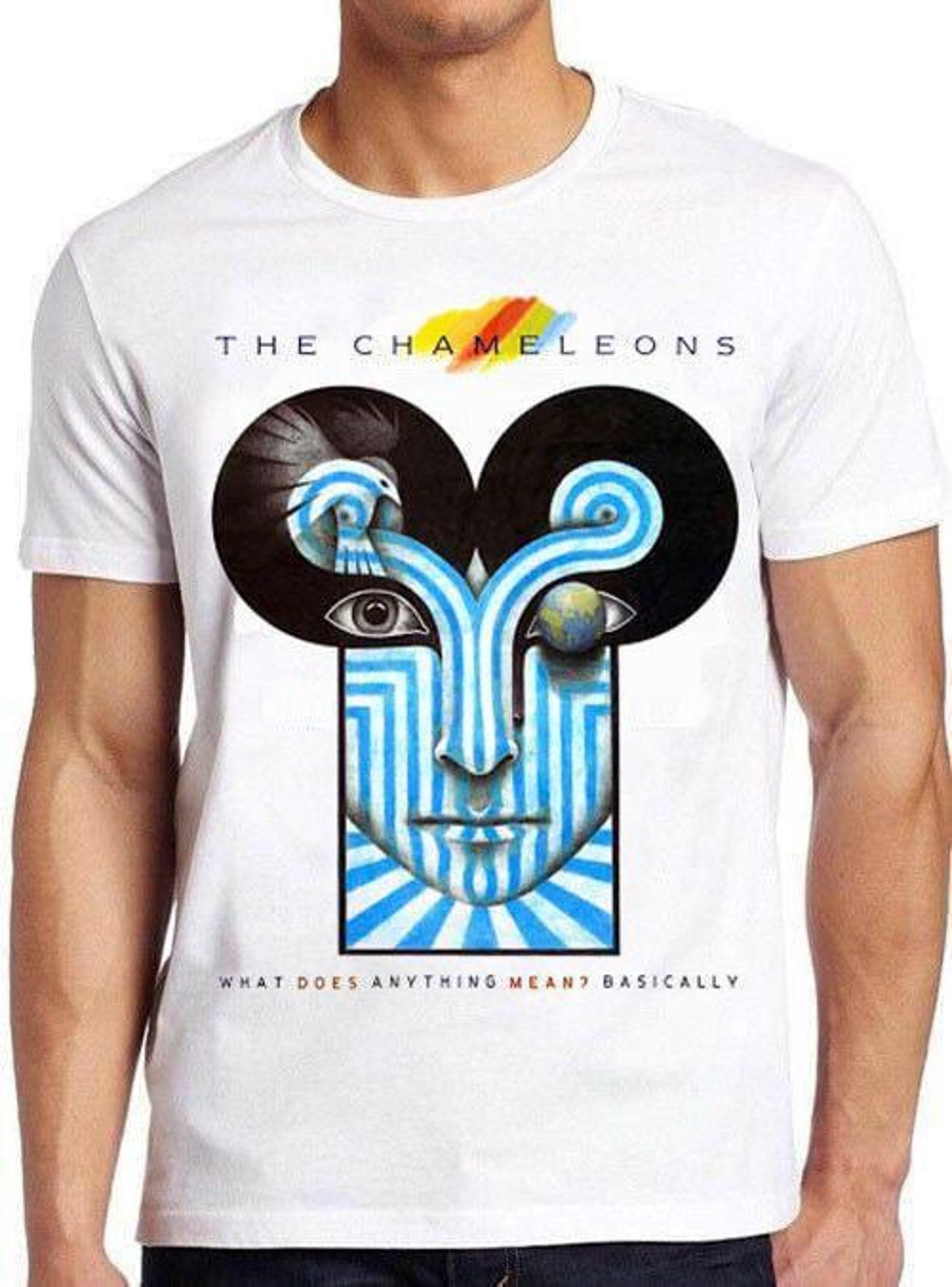 The Chameleons What Does Anything Mean Basically Music T Shirt B1624 Retro Film Meme Gift Funny Style Unisex Top Mens Womens Tee 4XL