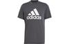 T Shirts Men's Gray Crew Neck Moderate Straight Fit GT3113