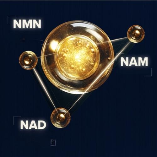 THE WHOO Ultimate Recovery NAD Power Ampułka 10ml