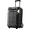 SANSUI D12 12-inch Portable Karaoke Speaker with Dual Microphones CN Plug (adapter Included)