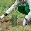 Adjustable Tree Trunk Protector - Cross-Border Splicing Combination Sheet