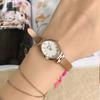 Small Dial Fashionable Retro Women'S Watch Fritillary Dial Simple Horse Eye Women'S Watch