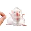 Cute Pig Car Interior Acrylic Pendant Lovely Auto Keychain Hanging Ornament Universal Fit Car Decoration Accessories For Key Bag