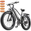 Bicicletta Elettrica Burchad Rx20 Motore di Picco 750W Ruote Grasse 26" Bicicletta Elettrica per Adulti Fuoristrada 48V 20Ah Freni a Doppio Disco 7 Velocità Display LCD