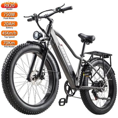 Electric Bicycle Burchad Rx20 750W Peak Motor 26" Fat Tire All Terrain Adult Electric Bike 48V 20Ah Dual Disc Brakes 7 Speed LCD Display