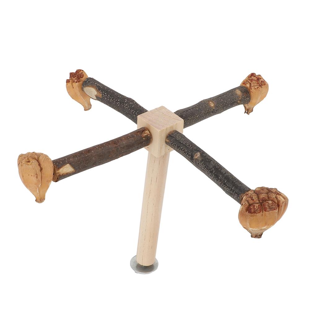 Rotating Parrot Perch Toy Interactive Training Wooden Bird Stand Exercise Toy with Chew Toy for Bird