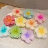 Gradient Flower Acrylic Hair Claw Clip for Women Sweet Hair Claws Crab Clamp Barrettes Hawaiian Headwear Accessories