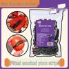 Plum-Filled Dried Cherry Tomatoes Snack