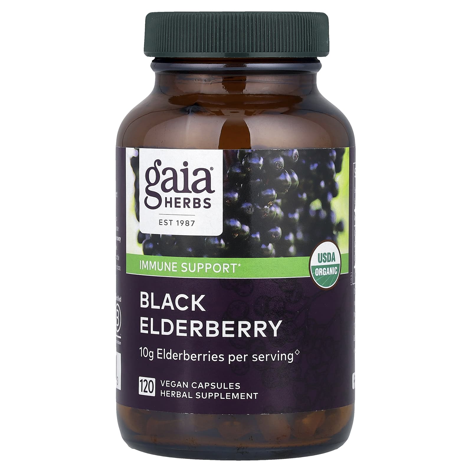 

Black Elderberry, Veggie Capsules 120