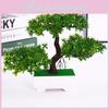 The Greeting Pine Guests Artificial Bonsai Plastic Plant Living Room And Office